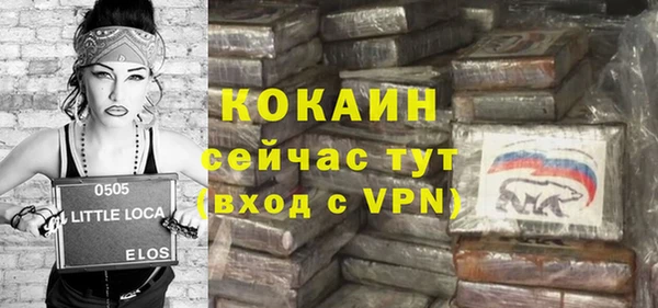 шишки Богданович