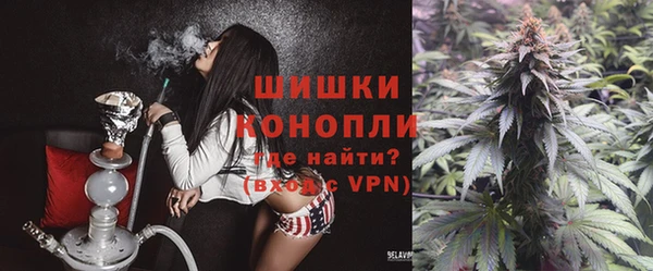 шишки Богданович