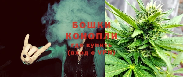 шишки Богданович