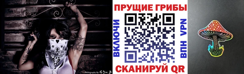 Псилоцибиновые грибы ЛСД  ссылка на мегу вход  Верхняя Салда  цены наркотик 